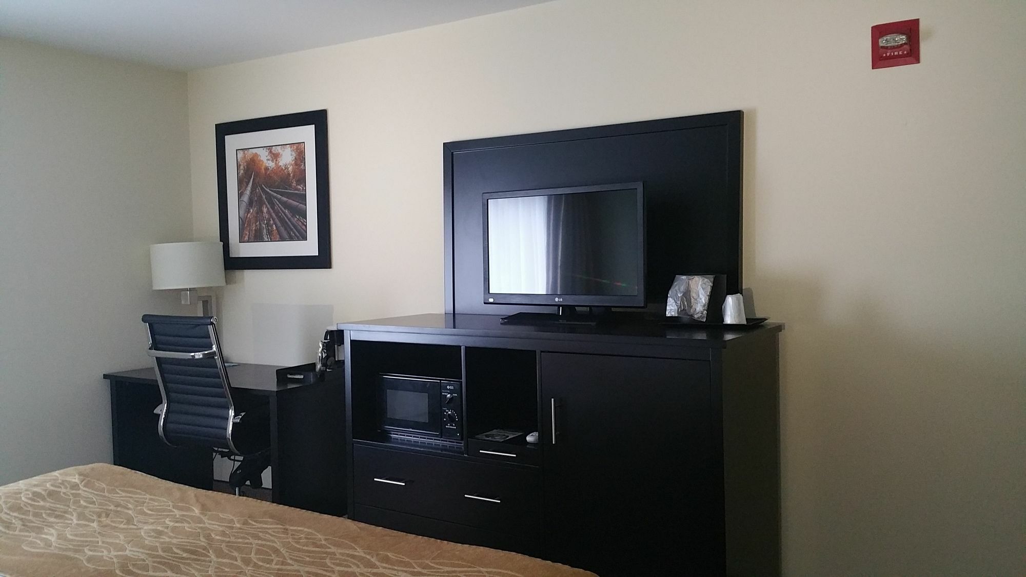 Oyo Hotel Rome West Ga Extérieur photo